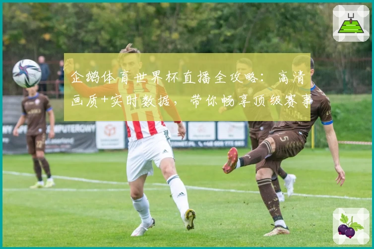 企鹅体育世界杯直播全攻略：高清画质+实时数据，带你畅享顶级赛事体验