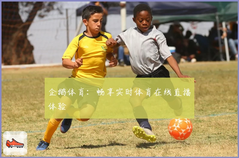 企鹅体育:畅享实时体育在线直播体验