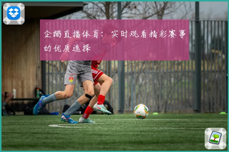 企鹅直播体育：实时观看精彩赛事的优质选择