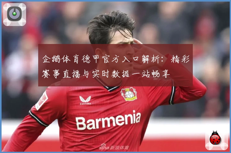 企鹅体育德甲官方入口解析：精彩赛事直播与实时数据一站畅享