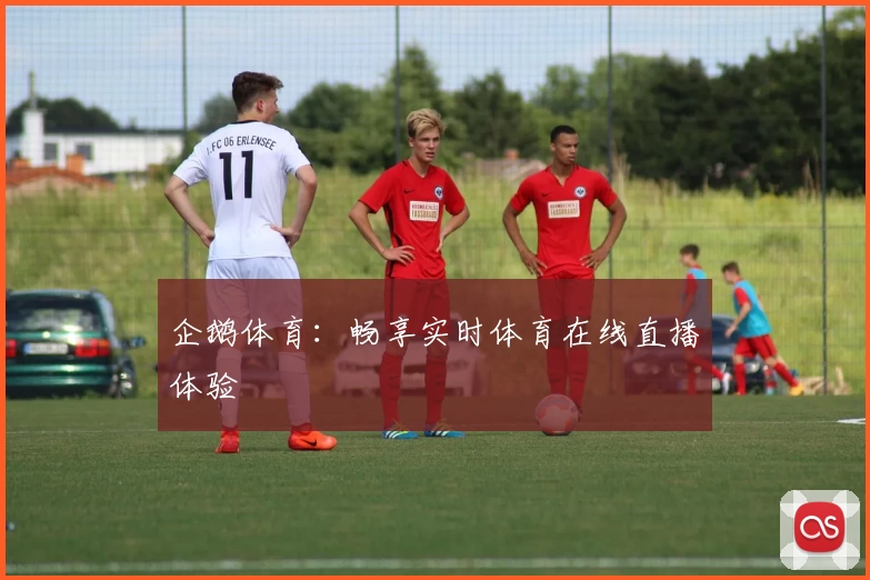 企鹅体育:畅享实时体育在线直播体验
