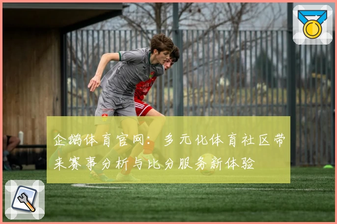企鹅体育官网:多元化体育社区带来赛事分析与比分服务新体验