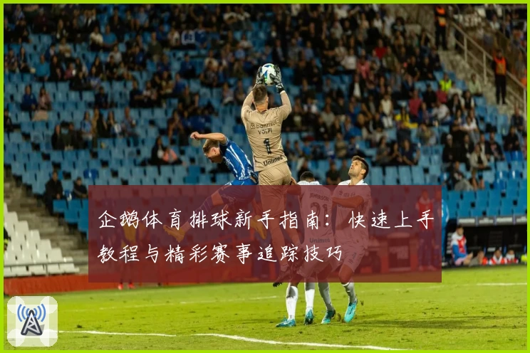 企鹅体育排球新手指南：快速上手教程与精彩赛事追踪技巧